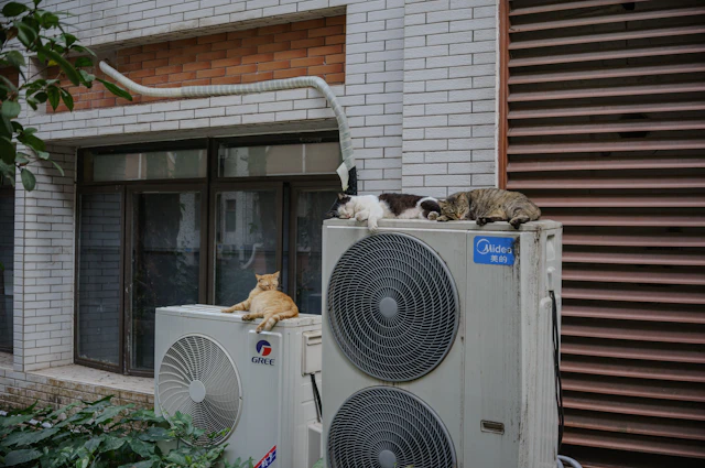Two cats resting on top of outdoor air conditioning units beside a brick building