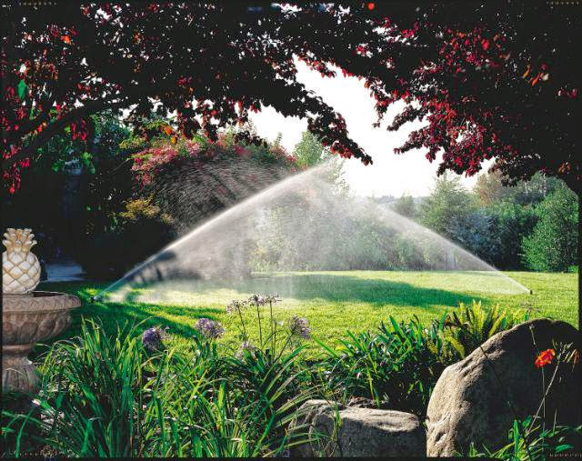Rainforest Sprinklers + Lighting