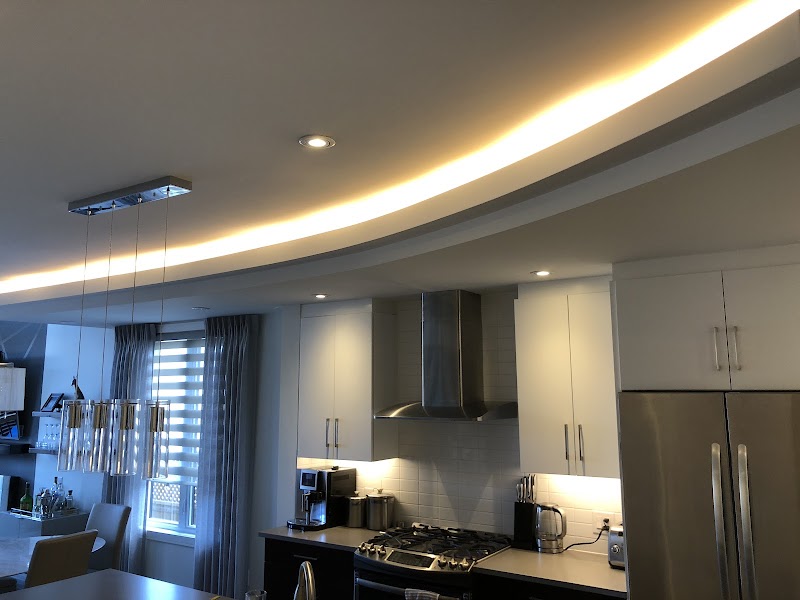 VoltaPro Electric